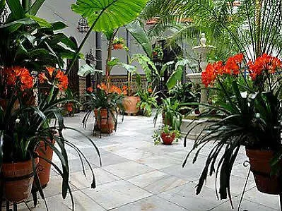Casa De Azulejos קורדובה